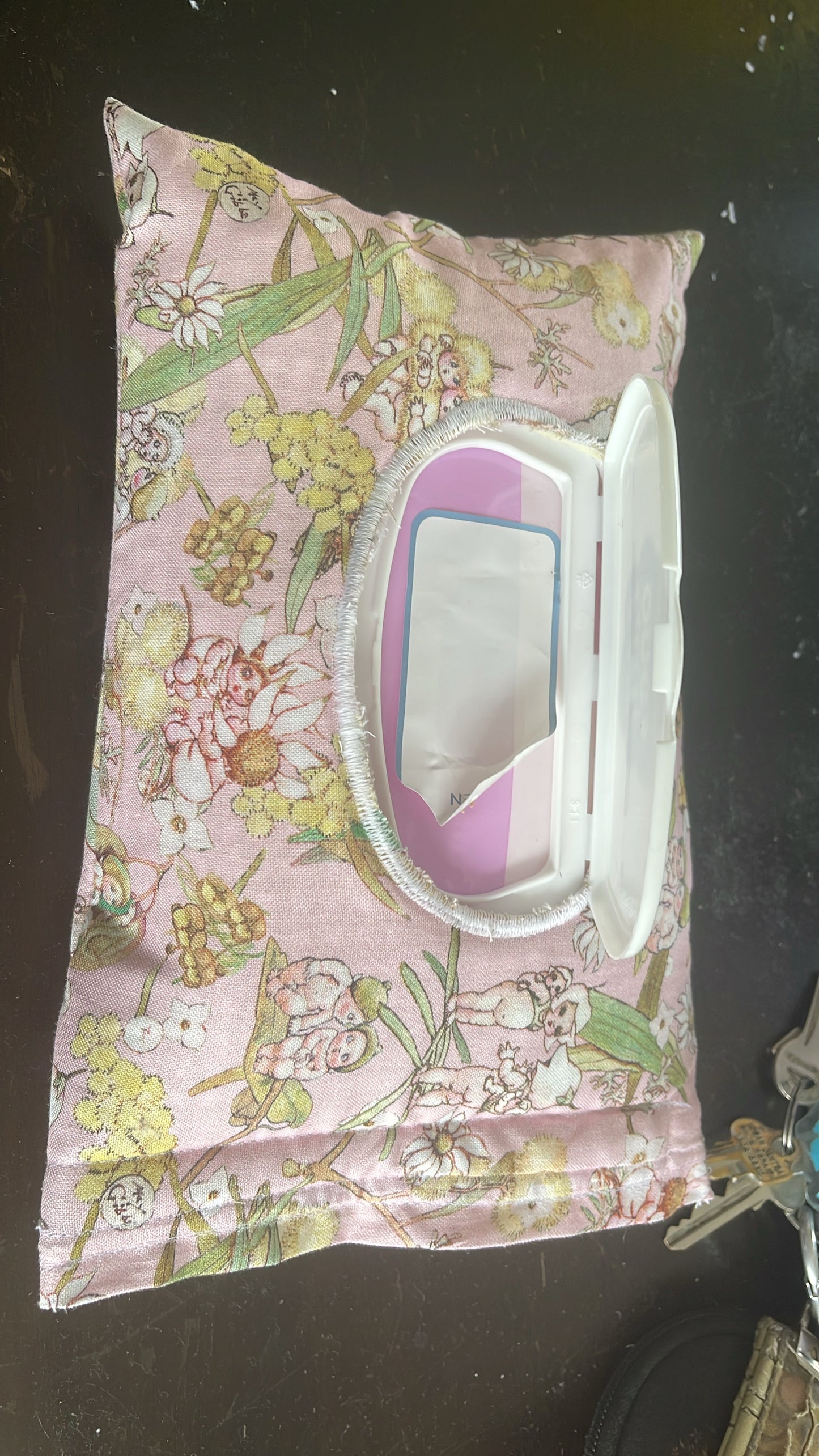 Wipes case