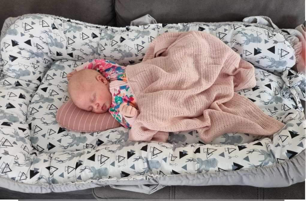 Baby travel bed or nest